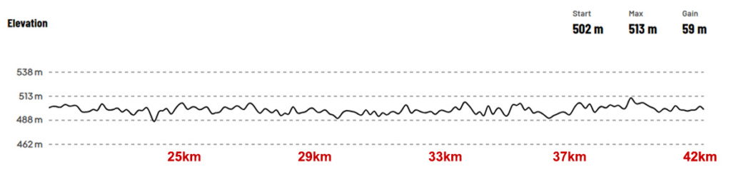 Aom Marathon Course Elevation Lap 2